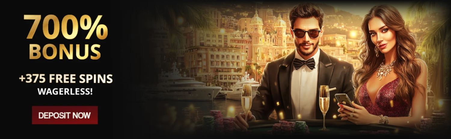 Promotional Banner